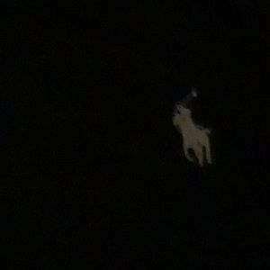 Meet your Posher, Andres